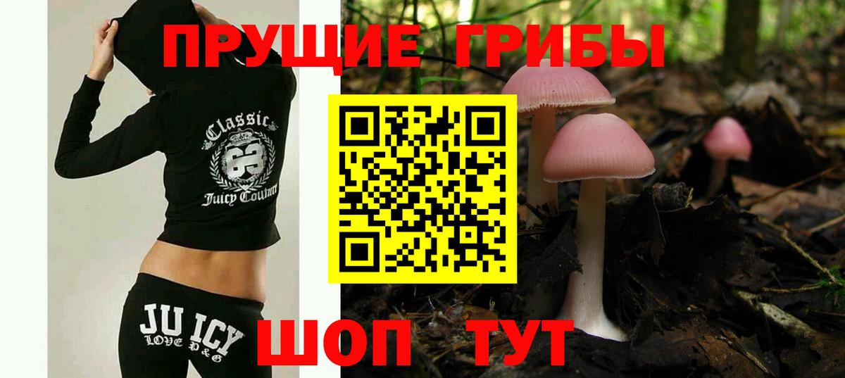 Псилоцибиновые грибы мицелий Сорочинск